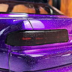 Pandora RC 3D Graphic Tail Light Decal - Smoke Type