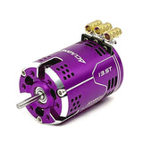 Acuvance LUXON AGILE 13.5T Motor - Purple